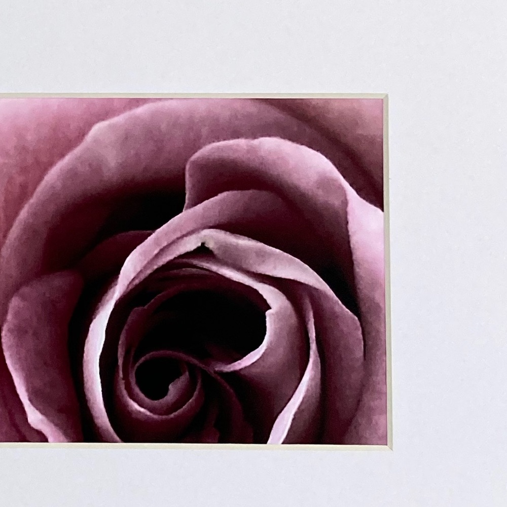 ❌SOLD❌BELLA DONNA” ~ ORIGINAL ART by ~ @lisamichellebeckerphotography - Picture 6 of 14